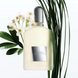Парфумована вода для чоловіків Tom Ford Grey Vetiver 100 мл 7174 фото 2