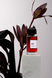 Парфумована вода BDK Parfums Rouge Smoking унісекс 100 мл 42904 фото 7