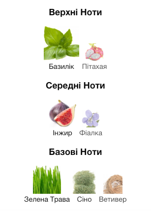 Парфумована вода Vilhelm Parfumerie Basilico & Fellini для чоловіків та жінок 100 мл ex1423 фото