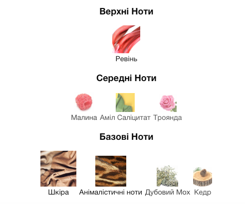 Парфум Nasomatto Nudiflorum для чоловіків та жінок 30 мл 32726 фото